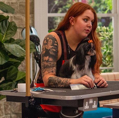 Abbie Toogood, Dog Grooming Insurance ambassador